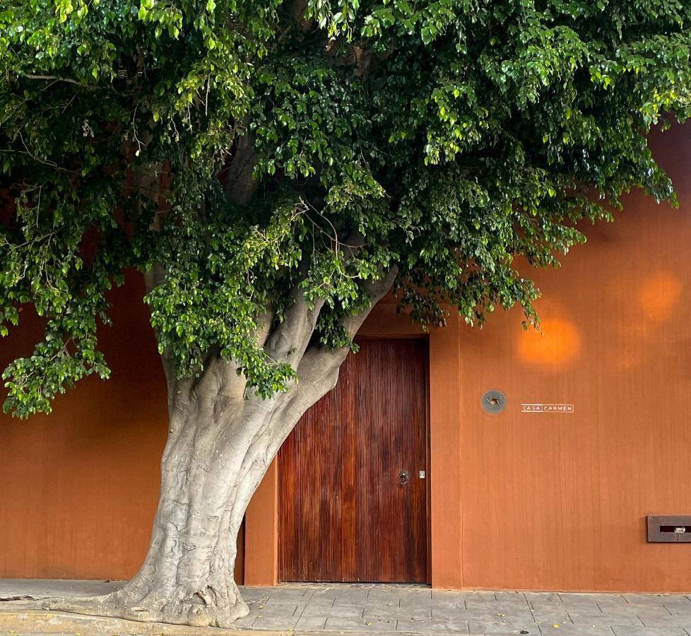 Hotel Casa Carmen Reforma Oaxaca Esterno foto