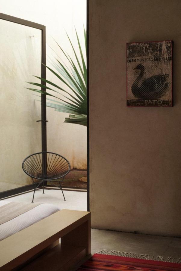 Hotel Casa Carmen Reforma Oaxaca Esterno foto