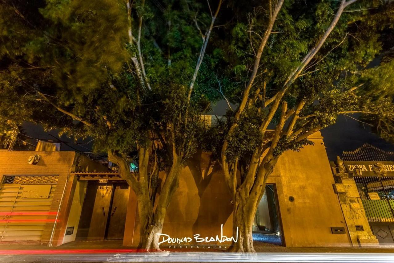 Hotel Casa Carmen Reforma Oaxaca Esterno foto