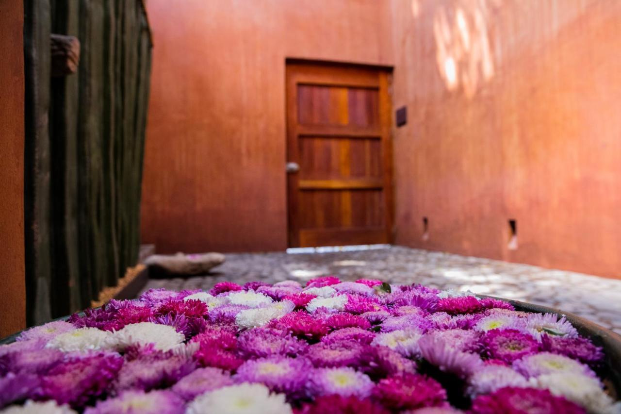 Hotel Casa Carmen Reforma Oaxaca Esterno foto